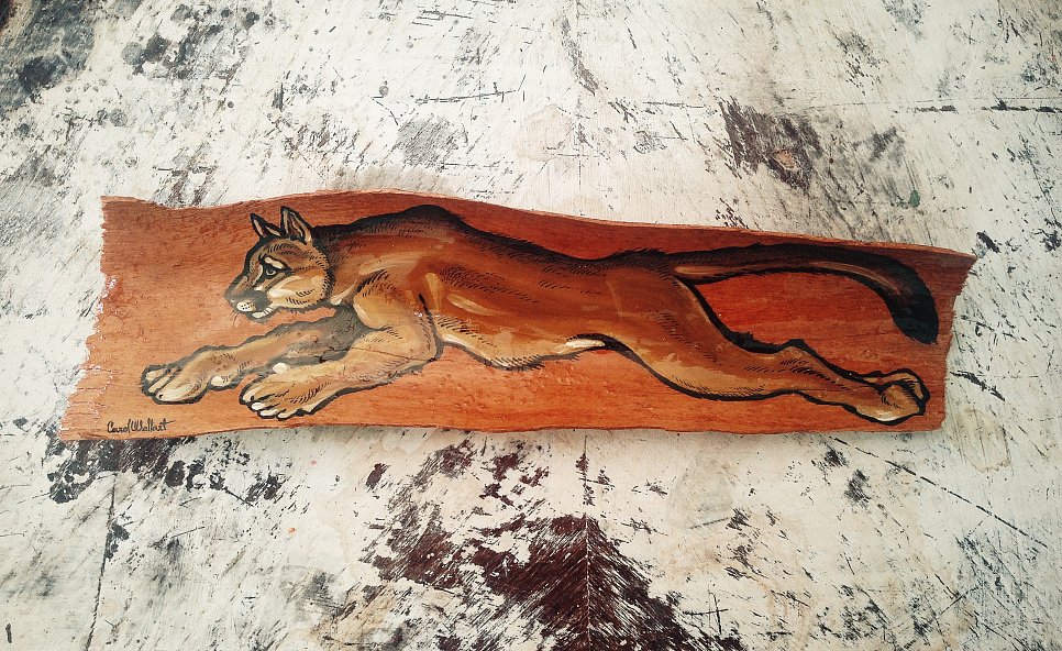 Mountain Lion