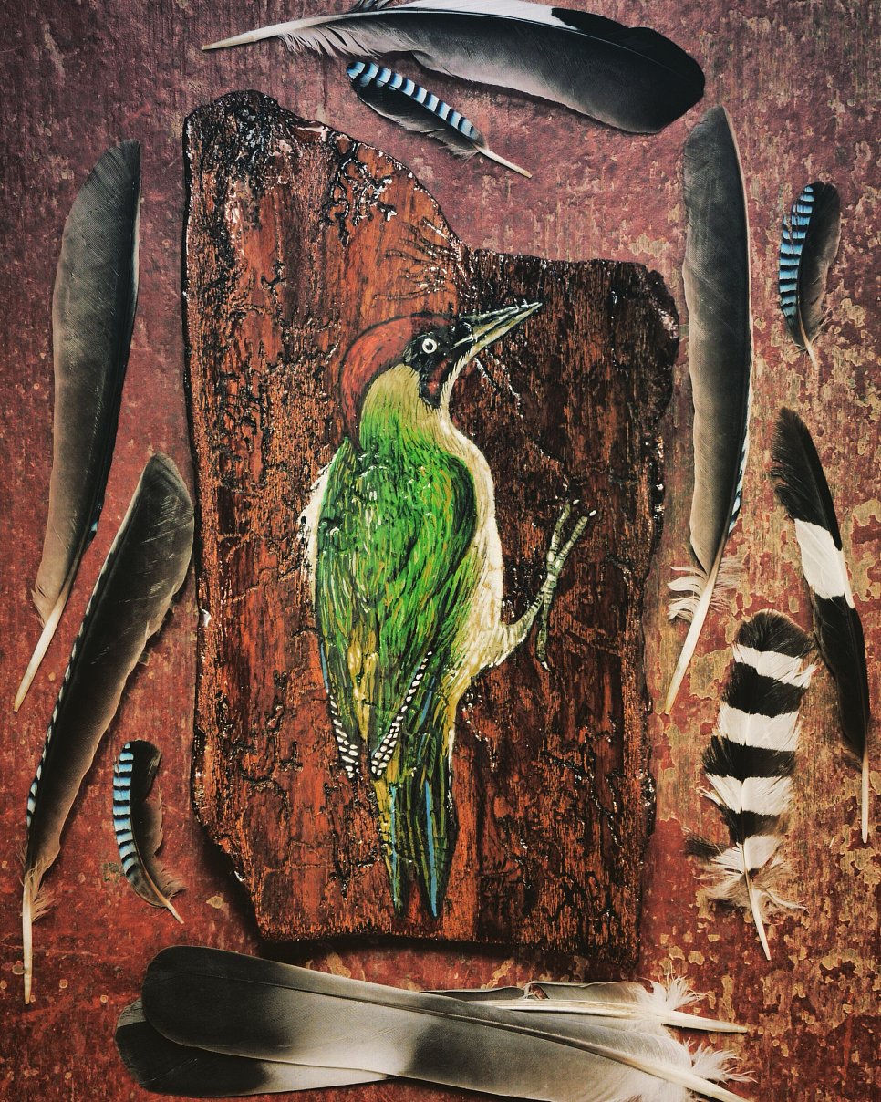 Green Woodpecker